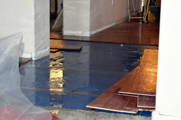 Professional Water Extraction technician working in Green Camp, OH